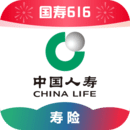 关于蛋神的动画片